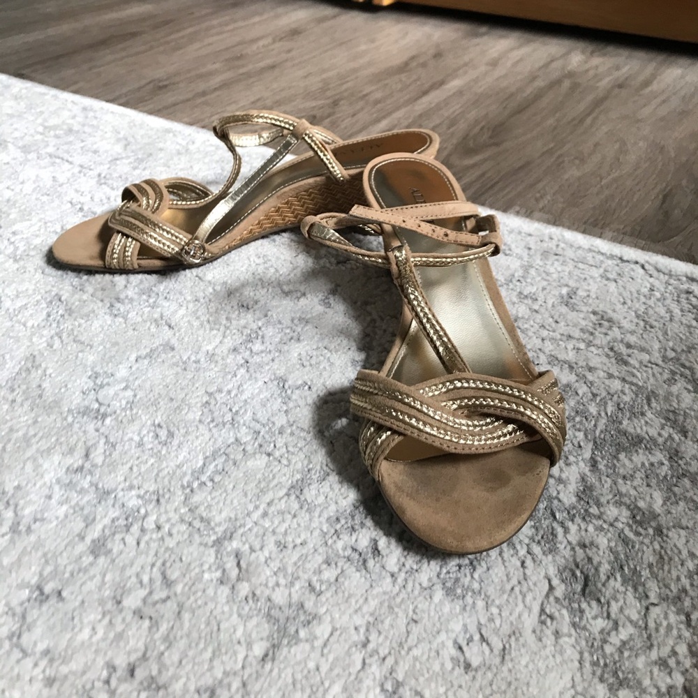 Alfani Gold Wedges